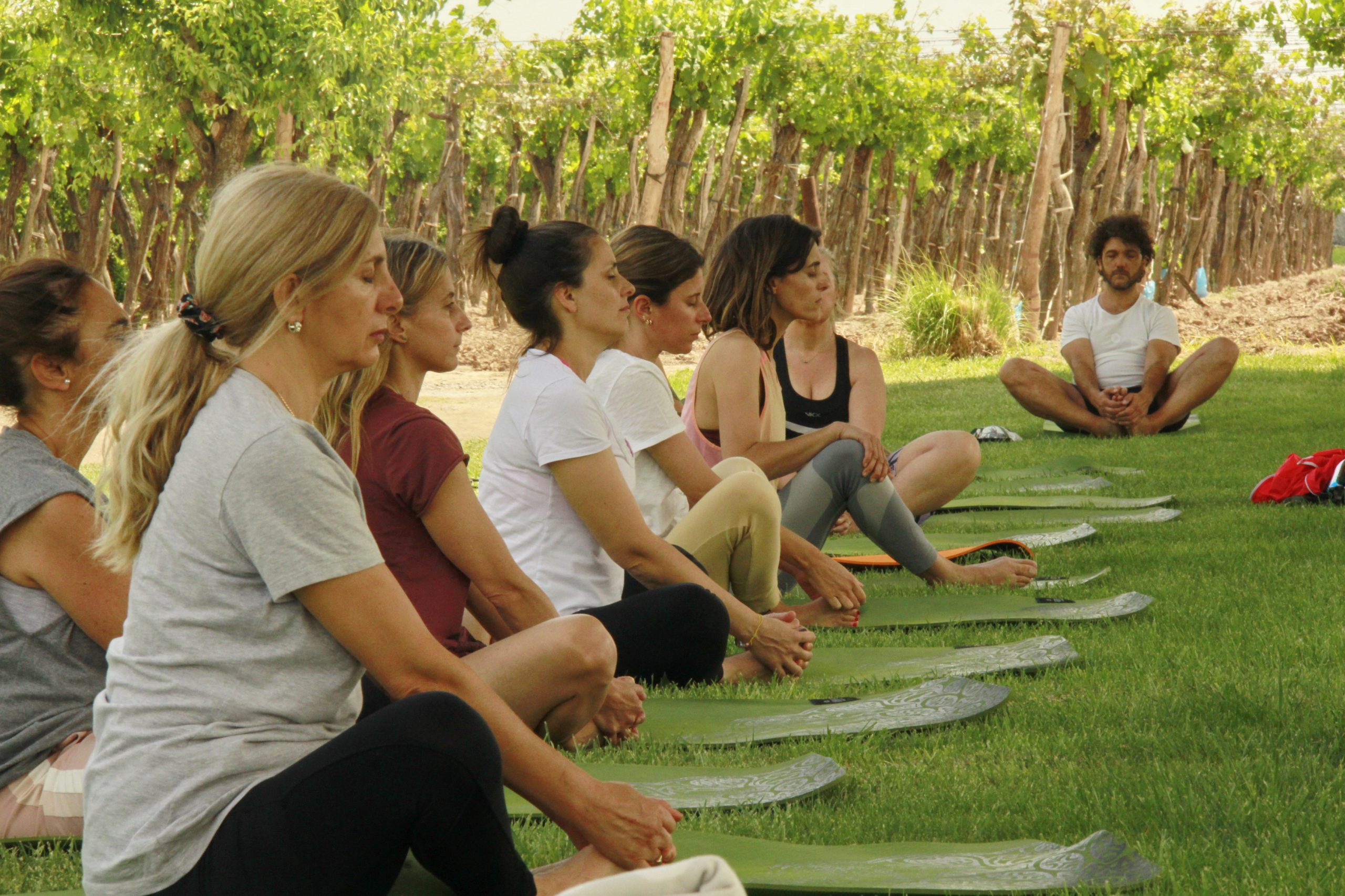 yoga-por-los-caminos-del-vino_Yoga por los Caminos del Vino en Viña Las Perdices